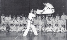 Master Chris performing a Double Jump Front Kick