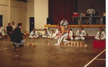Master Chris - 15 Brick Chops