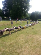 Picnic Fun Day - 2010